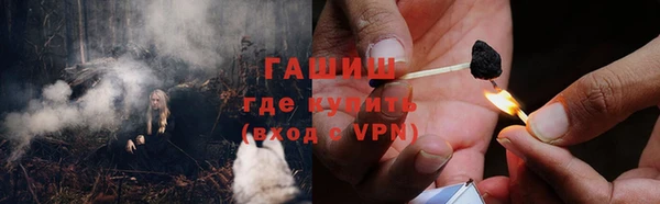 молекула духа Козловка