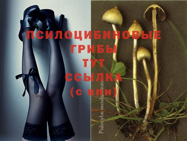 ешки Бронницы