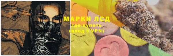 молекула духа Козловка